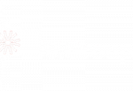 V Group